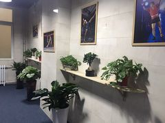 -格斗兄弟搏击健身训练馆(望京店)
