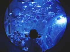 -成都浩海立方海洋公园