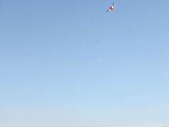 -洛龙公园