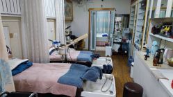 -波斯坦植物养发馆