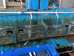 -蓝湾碧波·老字号·疍家非遗海上餐厅