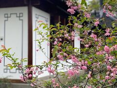 -郭庄景区