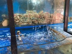 水产区-老东镇啤酒屋海鲜加工·蒸汽海鲜·海鲜烧烤(台东店)