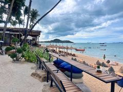 -Coco Tam’s