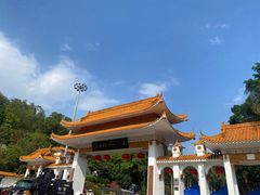 -深圳仙湖植物园