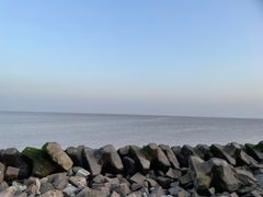 -南汇嘴观海公园