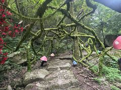 -岳西天峡风景区