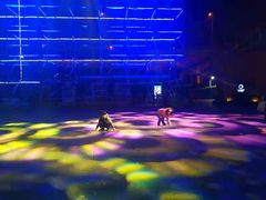 -锦江乐园舞狸花花游园会(夜场专享)