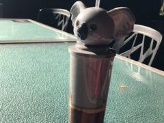 -可伦宾野生动物保护区