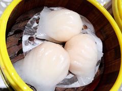 虾饺皇-金香匯晚茶(浑南店)