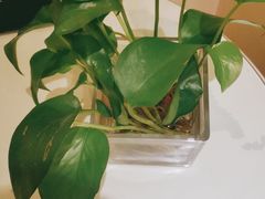 -宝燕壹号(徐汇店)