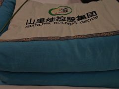 -山里娃养生集团(临朐店)