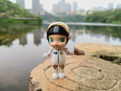 -重庆彩云湖湿地公园