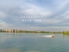 -丁香湖公园