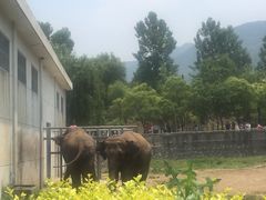 -西安秦岭野生动物园