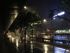 -王阿姨文昌油赞子(府桥街店)