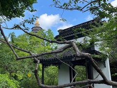 -红梅公园