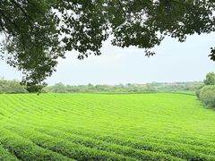 -敬亭山风景名胜区