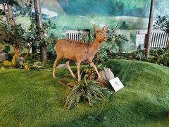 -吉林省自然博物馆
