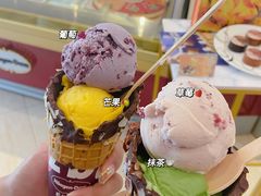 -哈根达斯(石家庄北国店)