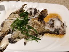 -初色海鲜自助(万丰路店)