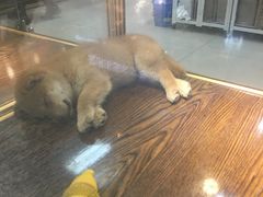 -乐宠宠物店(世纪金源店)