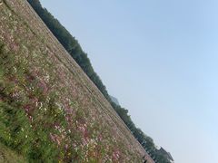 -大连铭湖国际观光牧场