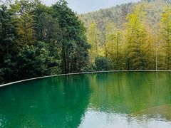 -宁海安岚·南溪阁全日餐厅