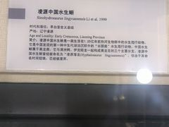 -国家自然博物馆