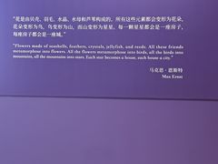 -德基艺术博物馆