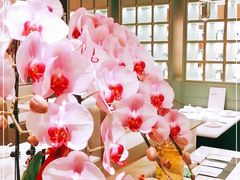 大堂-神仙馆(衡山路店)