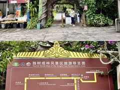 -瑞丽独树成林风景区