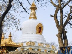 -护国法轮寺