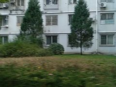 -中央民族大学