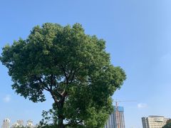 -山明水秀大饭店