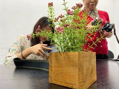 -视禾摄影培训(越秀区分部)