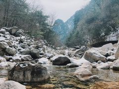 -青峰峡国家森林公园