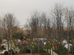 -淇河国家湿地公园