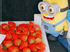 -西郊国际农产品交易中心