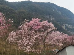 -九皇山景区
