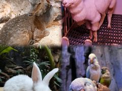 -正佳雨林生态植物园