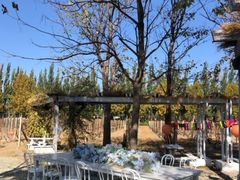 -安德鲁户外烧烤帐篷营地(马泉营店)