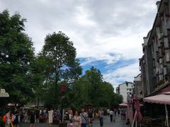 -老船夫石锅苗苗鱼·老字号(三道堰总店)
