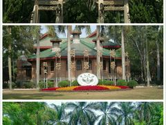 -中山大学学者灵芝(园南路店)