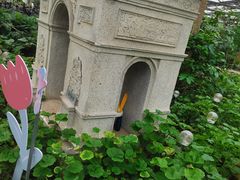 -南宫五洲植物乐园