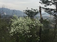 -天台山赤城山景区