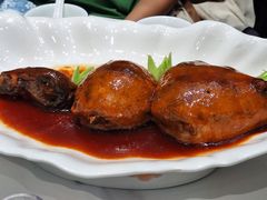 -丁老爷子苏香圆