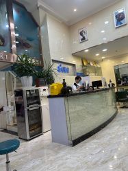 -SOLO Hair Salon