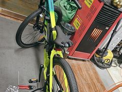 -道路口单车爱瓦士dahon大行