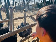 -大连森林动物园